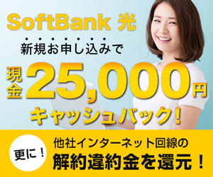 SoftBank光インターネット回線開通促進プロモーション 300×250